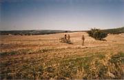 GOE II 1996 021